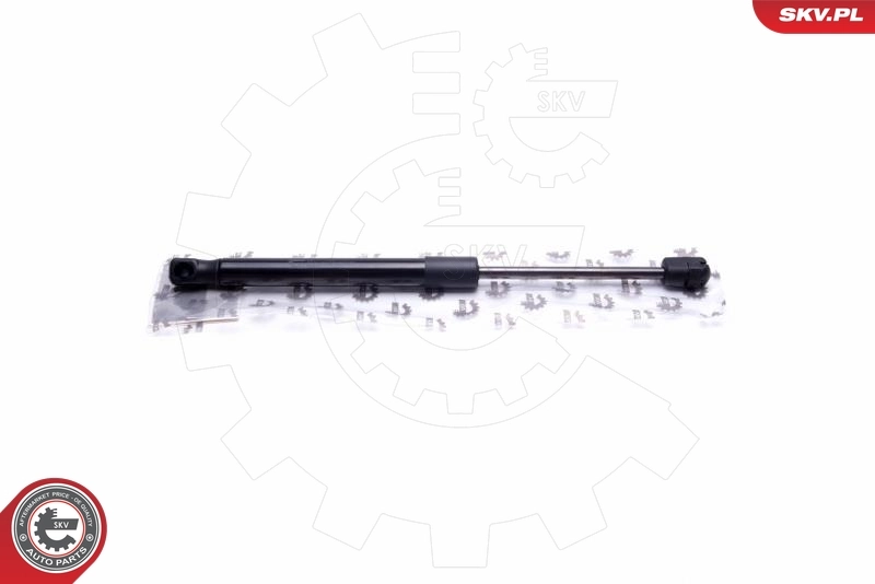 Gas Spring, boot/cargo area